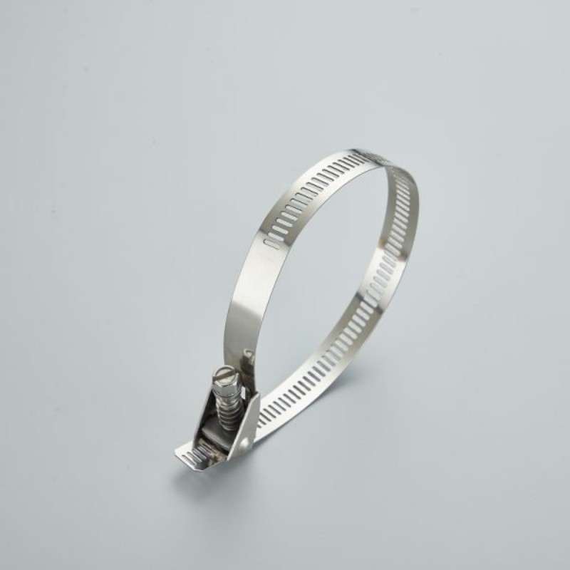 What standard can stainless steel hose clamps meet to enter passenger cars